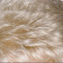  
Available Colours (Feather Collection): Champagne